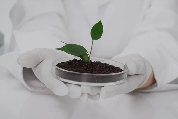 Software Biotecnología Agraria