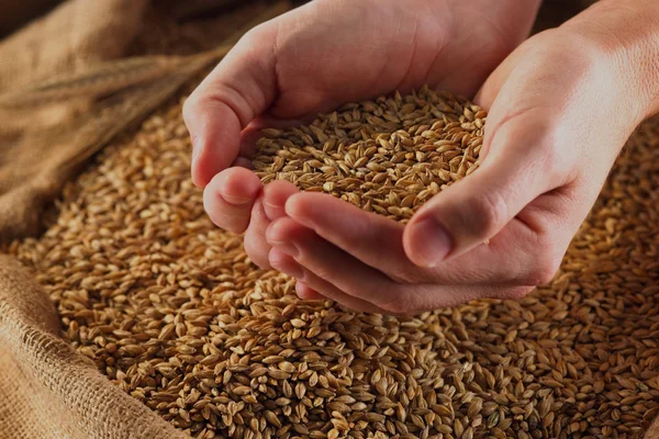 Software Explotaciones agrícolas