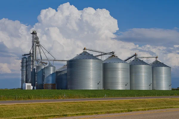 Software Industria Agroalimentaria
