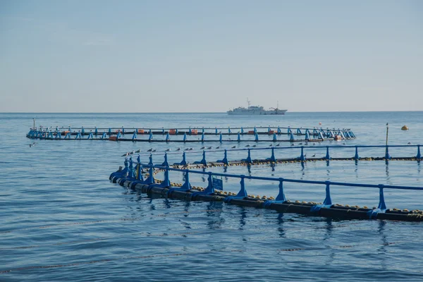 Software Pesca y Acuicultura
