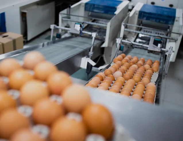 software para alimentos y bebidas