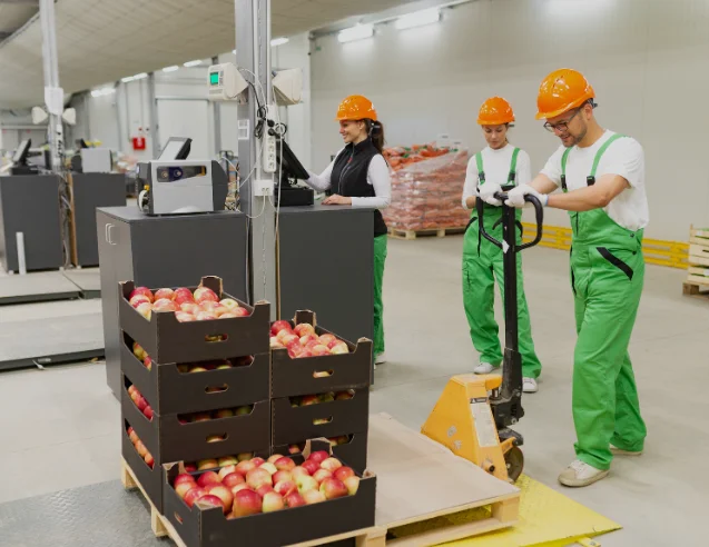 software para frutería