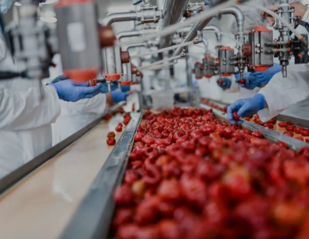 software para industria alimentaria