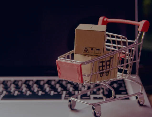 software para la industria de la moda