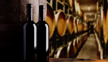 software Bodegas y fabricantes de bebidas