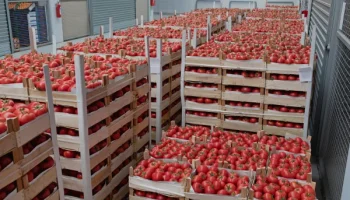 software Distribuidoras y mayoristas alimentarios