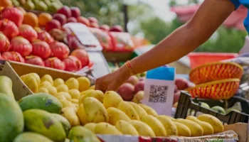 software Fruterías independientes