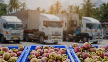 software Mayoristas hortofrutícolas