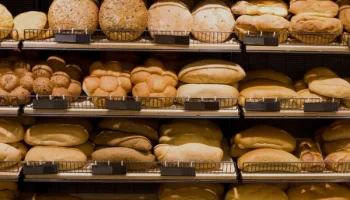 software para panaderias